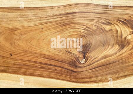 Fantastica struttura di grande lastra laccata in legno di suar con nodo estremo primo piano Foto Stock