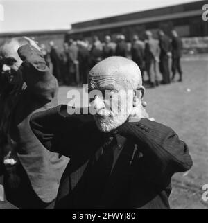 Reportage del campo di internamento sul Levantkade ad Amsterdam. Ora ci sono circa 4,200 prigionieri, c'è spazio per 30,000 persone, giugno 1945, collaboratori, prigionieri, campi di internamento, Seconda guerra mondiale, purges, Paesi Bassi, foto agenzia stampa del XX secolo, notizie da ricordare, documentario, fotografia storica 1945-1990, storie visive, Storia umana del XX secolo, che cattura momenti nel tempo Foto Stock