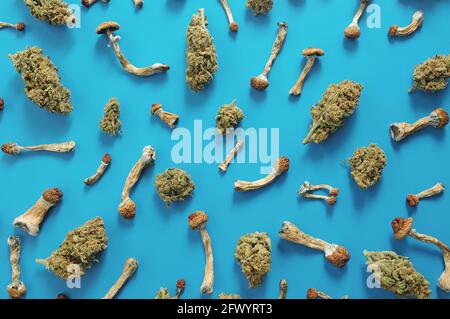 Concetto di microdosaggio. Modello di funghi psilocibin e boccioli di marijuana su sfondo blu. Viaggio psichedelico, concetto di convalida. Foto Stock