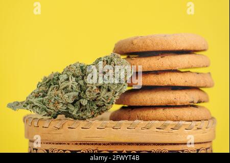 Dolci con olio CBD. Gemme di marijuana su sfondo giallo. Primo piano fiori di cannabis e biscotti al cioccolato. Foto Stock