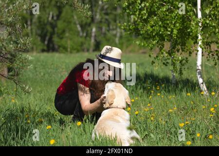 Sbattendo giovane donna in colpi di cappello muso di labrador sdraiato su erba con i diandelioni nel parco. Chatta o gioca con l'animale domestico. Esame dell'occhio o dei nos del cane Foto Stock