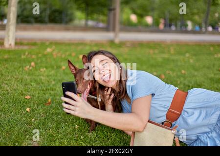 Carina ragazza giovane che attacca la sua lingua facendo un selfie con il suo cane faraone che giace sull'erba in un parco. Foto di alta qualità Foto Stock