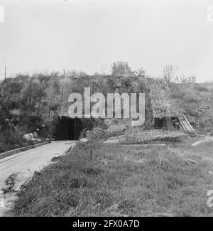 [Series Landmines Cleared at Hook of Holland], agosto 1945, ripresa, seconda guerra mondiale, Paesi Bassi, foto agenzia stampa del xx secolo, notizie da ricordare, documentario, fotografia storica 1945-1990, storie visive, Storia umana del XX secolo, che cattura momenti nel tempo Foto Stock