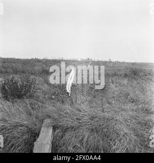 [Serie di mine sbarbate a Hook of Holland], agosto 1945, ripresa, seconda guerra mondiale, Paesi Bassi, foto agenzia stampa del xx secolo, notizie da ricordare, documentario, fotografia storica 1945-1990, storie visive, Storia umana del XX secolo, che cattura momenti nel tempo Foto Stock