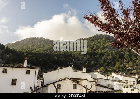 Facciate di antichi cottage bianchi situati su un terreno collinare spazioso Coperto di lussureggiante vegetazione in un giorno di sole a Siviglia Foto Stock