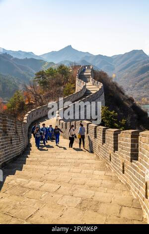 Vista della Grande Muraglia Cinese a Huanghua Cheng o fiore giallo, Xishulyu, Jiuduhe Zhen, Huairou, Repubblica popolare Cinese, Asia Foto Stock