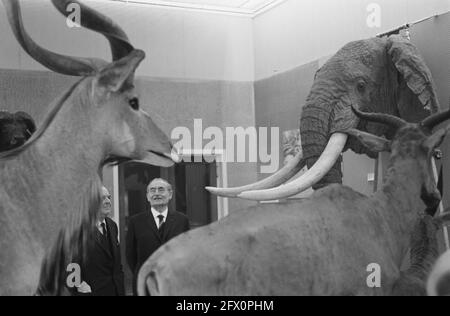 Sua Eccellenza Dr. W. Drees il patronato accettato della mostra Animali africani nel Museo Zoologico dell'Università di, 8 marzo 1963, patronati, mostre, I Paesi Bassi, foto agenzia stampa del XX secolo, notizie da ricordare, documentario, fotografia storica 1945-1990, storie visive, Storia umana del XX secolo, che cattura momenti nel tempo Foto Stock