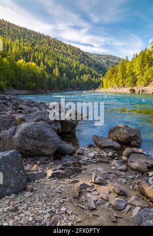 Vista di Clearwater River e prati vicino a Clearwater, British Columbia, Canada, America del Nord Foto Stock