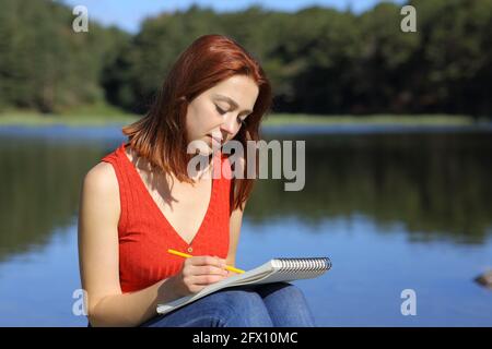 Donna concentrata che si sta occupando di notebook seduto in un lago dentro la montagna Foto Stock