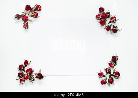 Angoli della cornice di Rose su sfondo bianco. Biglietto d'auguri Foto Stock