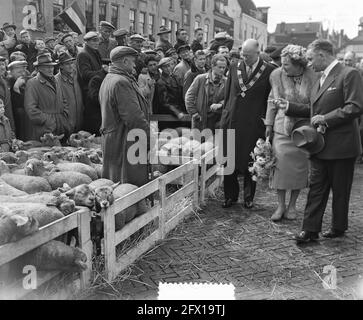 Visita reale a Leiden. Regina Juliana al mercato delle pecore, 21 maggio 1954, visite, regine, casa reale, pecore, Paesi Bassi, foto agenzia stampa del XX secolo, notizie da ricordare, documentario, fotografia storica 1945-1990, storie visive, Storia umana del XX secolo, che cattura momenti nel tempo Foto Stock