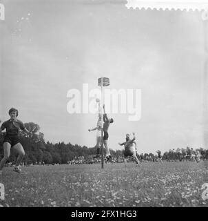 Korfball Paesi Bassi contro il Belgio 5-6 ad Assen, attacco olandese, 7 giugno 1959, Paesi Bassi, foto agenzia stampa del xx secolo, notizie da ricordare, documentario, fotografia storica 1945-1990, storie visive, Storia umana del XX secolo, che cattura momenti nel tempo Foto Stock