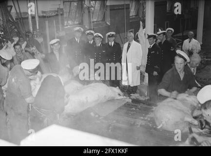 Commissione MOC Hilversum le Grand at abattoir Utrecht, 13 settembre 1949, MATTATOI, COMMISSIONI, I Paesi Bassi, foto agenzia stampa del XX secolo, notizie da ricordare, documentario, fotografia storica 1945-1990, storie visive, Storia umana del XX secolo, che cattura momenti nel tempo Foto Stock