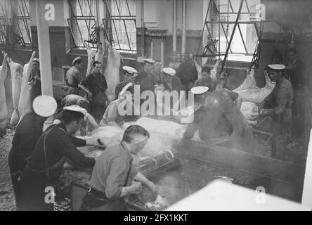 Commissione MOC Hilversum le Grand presso l'abattoir Utrecht, 13 settembre 1949, MACELLI, COMMISSIONI, Paesi Bassi, foto agenzia stampa del xx secolo, notizie da ricordare, documentario, fotografia storica 1945-1990, storie visive, Storia umana del XX secolo, che cattura momenti nel tempo Foto Stock