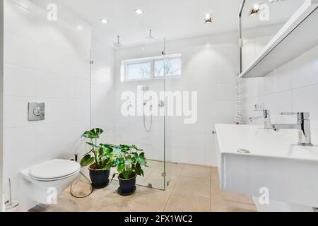 Ampio bagno luminoso con cabina doccia in vetro e parete appesa wc decorato con vasi di fiori verdi Foto Stock