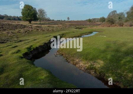 Bella acqua di fiume incontaminato - l'acqua di Dockens a Rakes Brakes Bottom, New Forest, Hampshire. Foto Stock