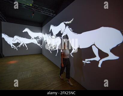 V&A, LONDRA, REGNO UNITO. 25 maggio 2021. EPIC Iran mostra esplora 5,000 anni di arte, design e cultura, Epic Iran illumina una delle più grandi civiltà storiche, il suo viaggio nel 21 ° secolo e le sue realizzazioni artistiche monumentali, che rimangono ignote a molti.la mostra si svolge dal 29 maggio al 12 settembre 2021. EPIC Iran è organizzato dalla V&A con la Iran Heritage Foundation in collaborazione con la Collezione Sarikhani. Credit: Malcolm Park/Alamy Live News. Foto Stock