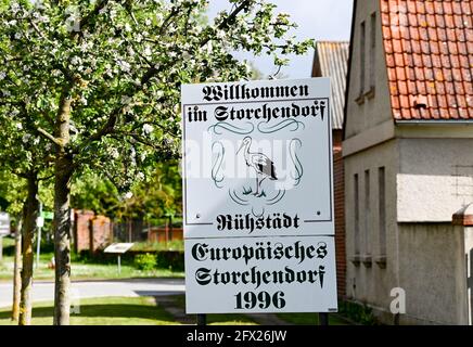 19 maggio 2021, Brandeburgo, Rühstädt: 'Benvenuti nel villaggio ciclista di Rühstädt' è scritto su un segno nel villaggio ciclista di Rühstädt nella regione di Prignitz in Germania, nel paesaggio del fiume Elbe-Brandenburg Riserva della Biosfera dell'UNESCO. Come una delle più grandi colonie di cicogne dell'Europa centrale, Rühstädt porta il titolo di "Villaggio europeo della cicogna". Foto: Jens Kalaene/dpa-Zentralbild/ZB Foto Stock