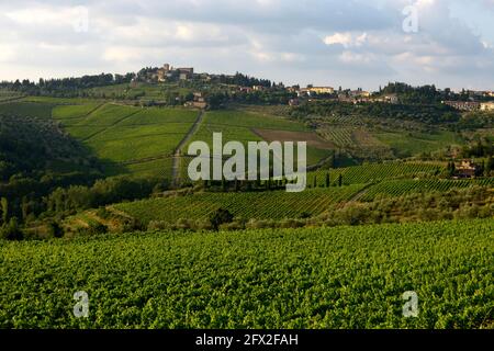 Italia, Toscana, Panzano - tenuta Fontodi , vigneti Foto © Sandro Michahelles/Sintesi/Alamy Stock Photo Foto Stock