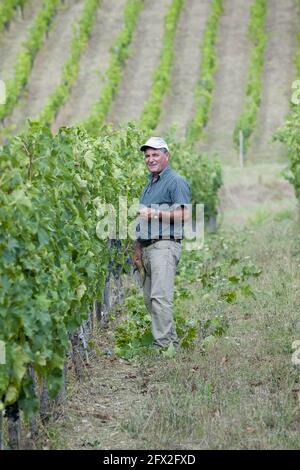 Italia, Toscana, Panzano - tenuta Fontodi , vigneti Foto © Sandro Michahelles/Sintesi/Alamy Stock Photo Foto Stock