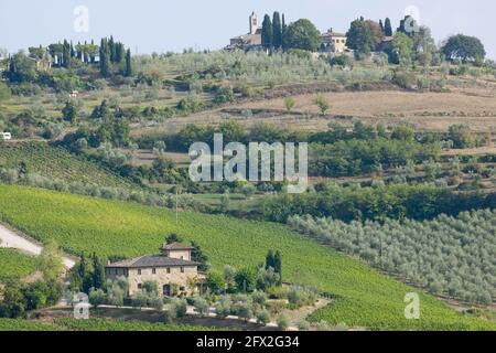 Italia, Toscana, Panzano - tenuta Fontodi , vigneti Foto © Sandro Michahelles/Sintesi/Alamy Stock Photo Foto Stock