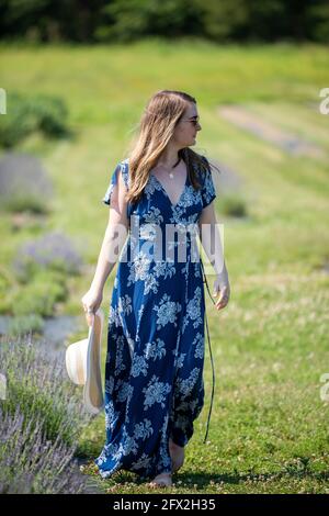 Una donna caucasica che indossa occhiali da sole e un vestito blu cammina in un campo di lavanda fresca. I suoi capelli e vestito soffiano nel vento. Prato in fiore, conto Foto Stock