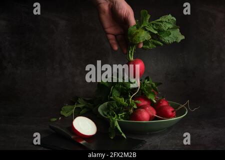 la mano di un uomo tiene un mazzo di ravanelli freschi Foto Stock