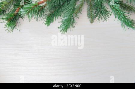 Pine di Natale bordo su uno sfondo di legno bianco Foto Stock