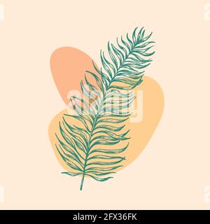 Astratto vettoriale Botanico sfondo Layout decorativo. Foglie di palma disegnate a mano Branch con forme geometriche Illustrazione di Foliage minima. Contemporaneo Illustrazione Vettoriale