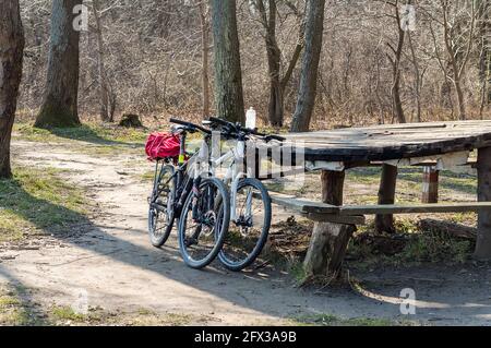 Regione di Kaliningrad, Russia. 18 aprile 2021. Due biciclette vicino a una panca. Una gita in bicicletta attraverso la foresta. Un giro in bicicletta attraverso la foresta in primavera. Foto Stock