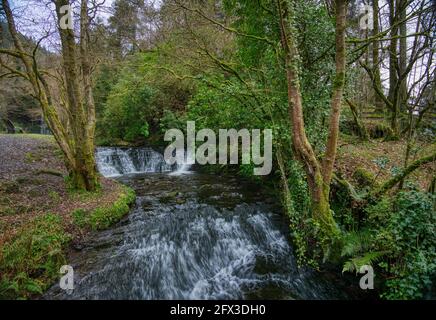 Cascate di Glencar, Co.Leitrim, Irlanda Foto Stock