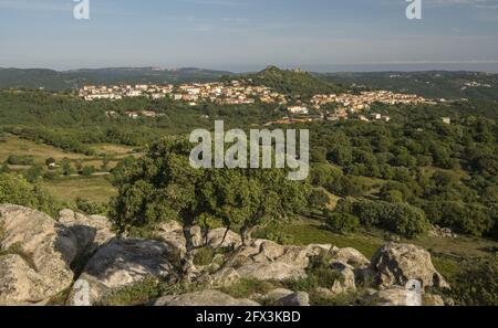 Sardegna, chiesa campestre San Trano, Luogosanto, Sardegna Foto Stock