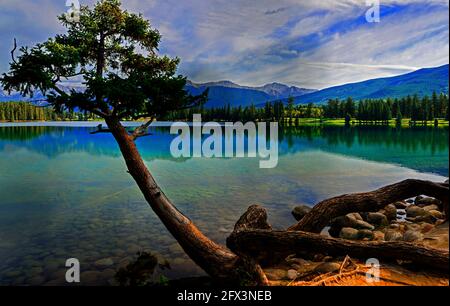 Tramonto al lago Beauvert, Jasper National Park, Alberta, Canada Foto Stock