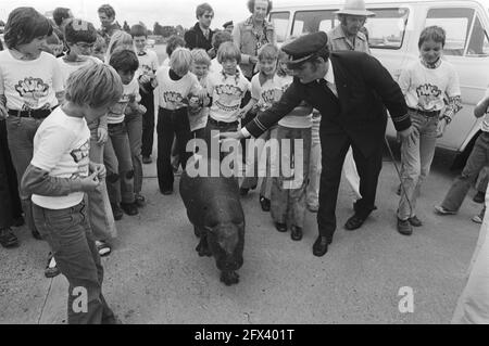 Hippo nano Hugo de Hippo è arrivato a Zestienhoven scuola bambini e l'ippopotamo nani, 2 giugno 1976, arrivi, ippopotami, Bambini della scuola, Paesi Bassi, foto dell'agenzia stampa del XX secolo, notizie da ricordare, documentario, fotografia storica 1945-1990, storie visive, Storia umana del XX secolo, che cattura momenti nel tempo Foto Stock