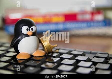 Tux, figura del simbolo del Software libero Linux accanto ad una corona, su una tastiera per computer e con spazio per la copia sullo sfondo Foto Stock