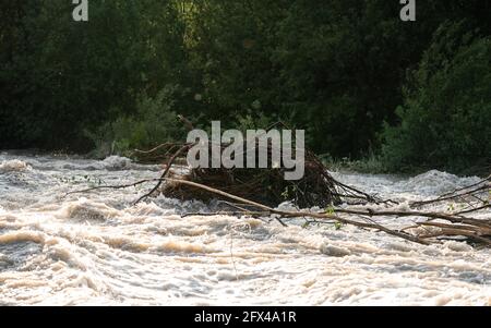 Il sole splende sulle acque sporche che fluiscono rapidamente nel fiume, prendendo alcuni piccoli alberi con radici Foto Stock