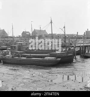 I coltivatori ex-estari di Yerseke introducano i primi funghi, porto di Yerseke drenato, 19 febbraio 1964, CHAMPIGNONS, Porti, Paesi Bassi, foto agenzia stampa del XX secolo, notizie da ricordare, documentario, fotografia storica 1945-1990, storie visive, Storia umana del XX secolo, che cattura momenti nel tempo Foto Stock