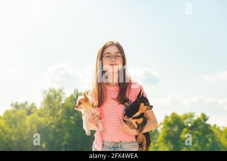 Ragazza adolescente con cani da compagnia in braccio. Bella ragazza con due cani chihuahua sulla natura. Foto Stock