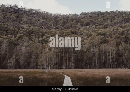 Una passerella in legno si snoda attraverso praterie aperte presso il 'luogo dei Venti' sulla Great North Walk vicino alle acque di Berowra. Foto Stock