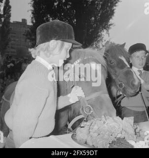 Giornata mondiale degli animali 1964, alimentazione degli animali (all'estero), 5 ottobre 1964, ANIMALI, Paesi Bassi, foto agenzia stampa del xx secolo, notizie da ricordare, documentario, fotografia storica 1945-1990, storie visive, Storia umana del XX secolo, che cattura momenti nel tempo Foto Stock
