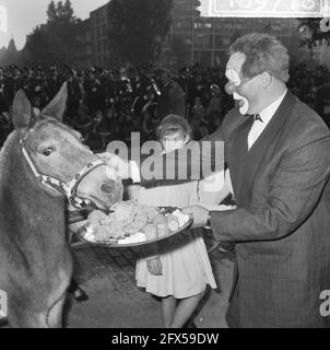 World Animal Day 1964, Feeding the Animals (Abroad), 5 ottobre 1964, ANIMALS, Paesi Bassi, foto dell'agenzia stampa del XX secolo, notizie da ricordare, documentario, fotografia storica 1945-1990, storie visive, Storia umana del XX secolo, che cattura momenti nel tempo Foto Stock