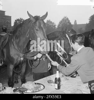 World Animal Day 1964, Feeding the Animals (Abroad), 5 ottobre 1964, ANIMALS, Paesi Bassi, foto dell'agenzia stampa del XX secolo, notizie da ricordare, documentario, fotografia storica 1945-1990, storie visive, Storia umana del XX secolo, che cattura momenti nel tempo Foto Stock
