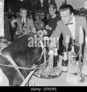 Giornata mondiale degli animali 1964, alimentazione degli animali, 5 ottobre 1964, ANIMALI, Feeding, Paesi Bassi, foto agenzia stampa del XX secolo, notizie da ricordare, documentario, fotografia storica 1945-1990, storie visive, Storia umana del XX secolo, che cattura momenti nel tempo Foto Stock