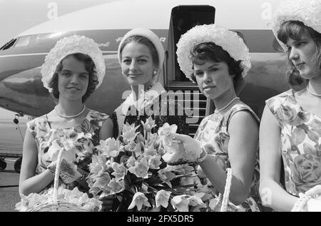 La star francese del cinema Capucine (2° da sinistra). Arrivo all'aeroporto di Schiphol, 25 aprile 1962, arrivi, attrici, Stelle cinematografiche, aeroporti, Paesi Bassi, foto agenzia stampa del XX secolo, notizie da ricordare, documentario, fotografia storica 1945-1990, storie visive, Storia umana del XX secolo, che cattura momenti nel tempo Foto Stock