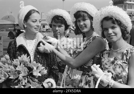 La star francese Capucine (a sinistra). Arrivo all'aeroporto di Schiphol, 25 aprile 1962, arrivi, attrici, Stelle cinematografiche, aeroporti, Paesi Bassi, foto agenzia stampa del XX secolo, notizie da ricordare, documentario, fotografia storica 1945-1990, storie visive, Storia umana del XX secolo, che cattura momenti nel tempo Foto Stock