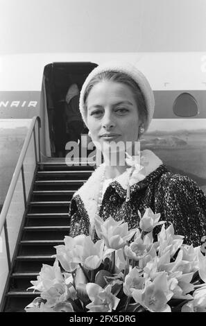 La star del cinema francese Capucine. Arrivo all'aeroporto di Schiphol, 25 aprile 1962, arrivi, attrici, Stelle cinematografiche, ritratti, Paesi Bassi, foto agenzia stampa del XX secolo, notizie da ricordare, documentario, fotografia storica 1945-1990, storie visive, Storia umana del XX secolo, che cattura momenti nel tempo Foto Stock