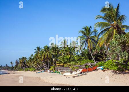 Barche da pesca tradizionali sulla spiaggia di Tangalle con palme e cielo blu, provincia meridionale, Sri Lanka Foto Stock