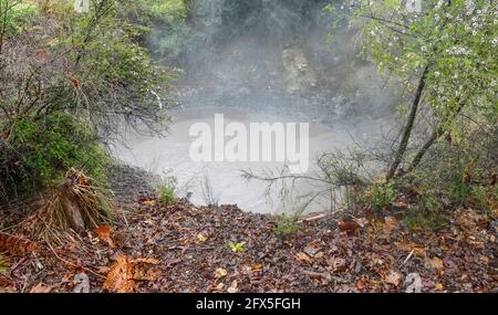 Stagno geotermico a Kuirau Park nella regione di Rotorua in Nuova Zelanda Foto Stock