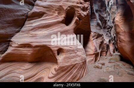 Wire Pass Canyon, Utah, Stati Uniti Foto Stock