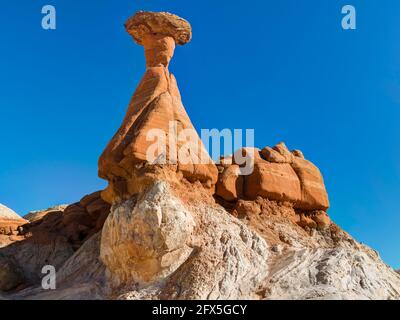 Toadstool Hoodoos, Kanab, Utah, Stati Uniti Foto Stock